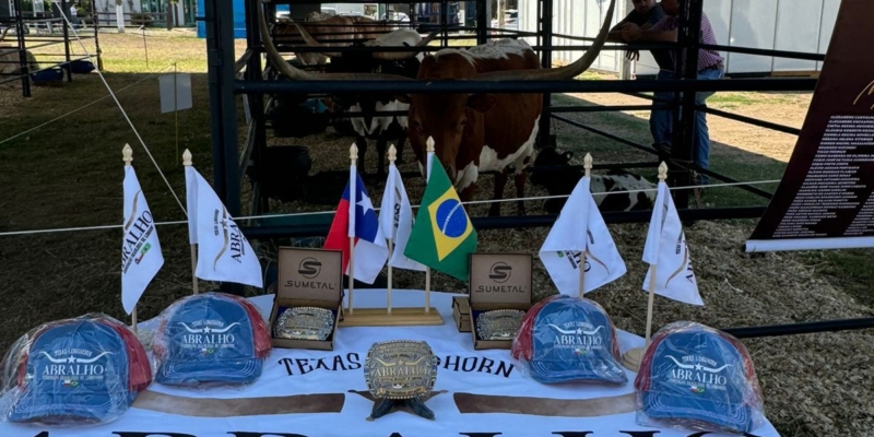 Abralho, Associação Brasileira de Texas Longhorn.