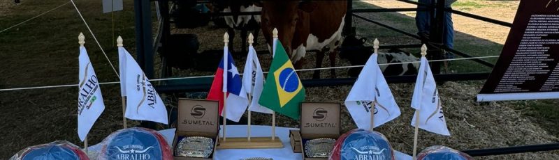 Abralho, Associação Brasileira de Texas Longhorn.