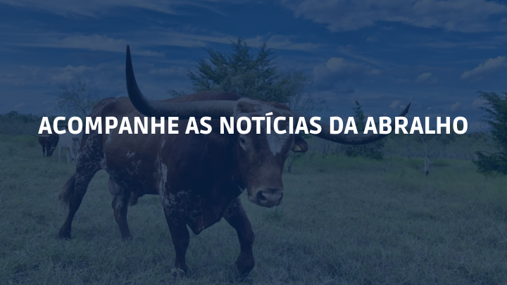 ACOMPANHE AS NOTÍCIAS DA ABRALHO (2)